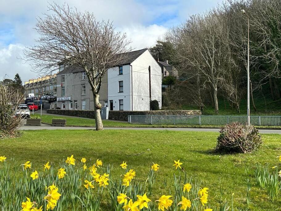 Caernarfon Modern Townhouse Snowdonia Villa Kültér fotó